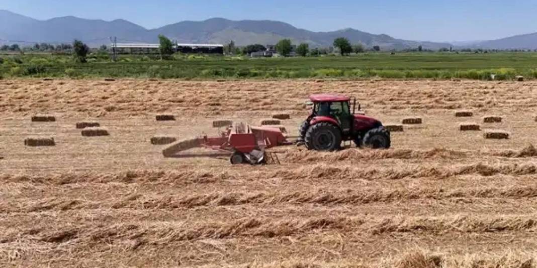 Tarlada balya mesaisi başladı! Fiyatın bu yıl 2 katına çıkması bekleniyor 4